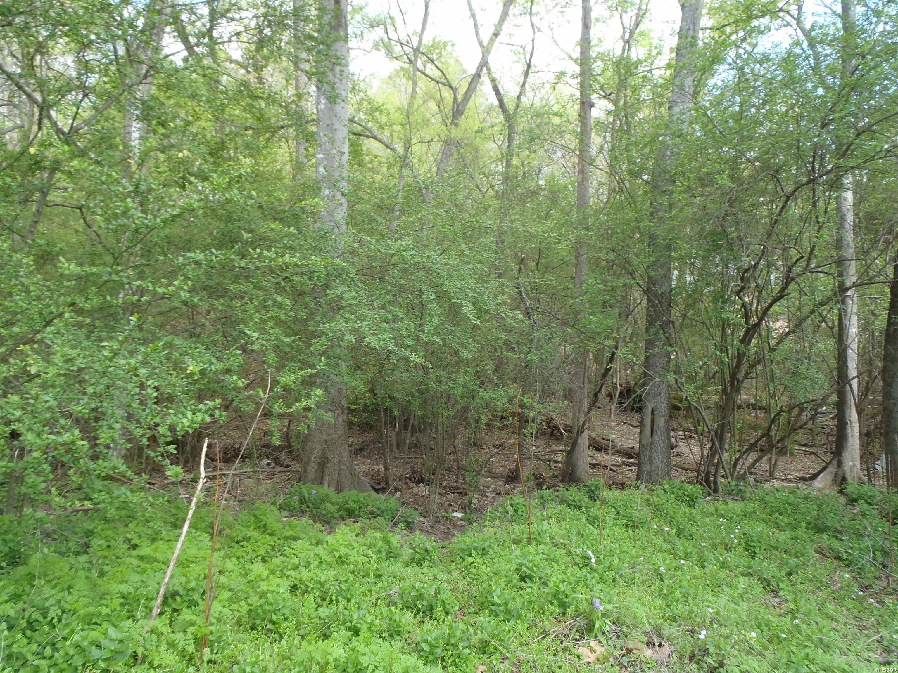 Xxx Yorkshire Drive Property Photo 4