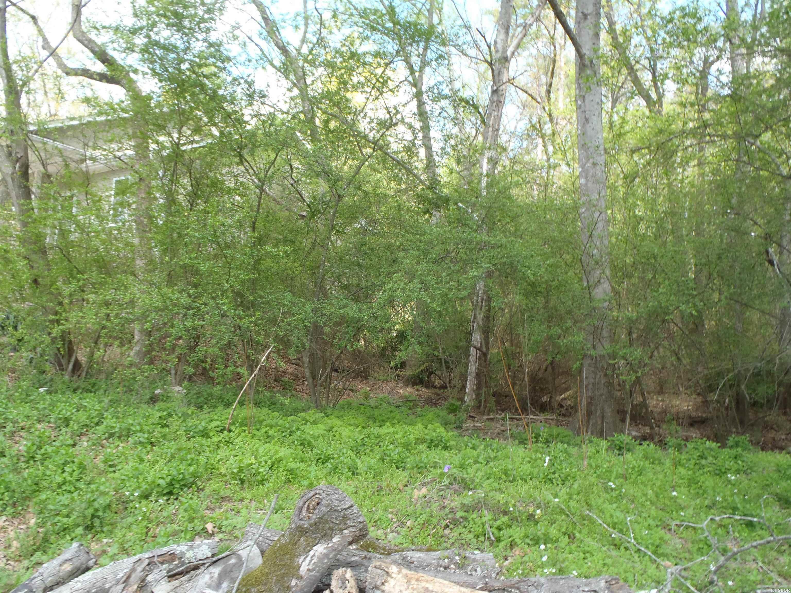 Xxx Yorkshire Drive Property Photo 5