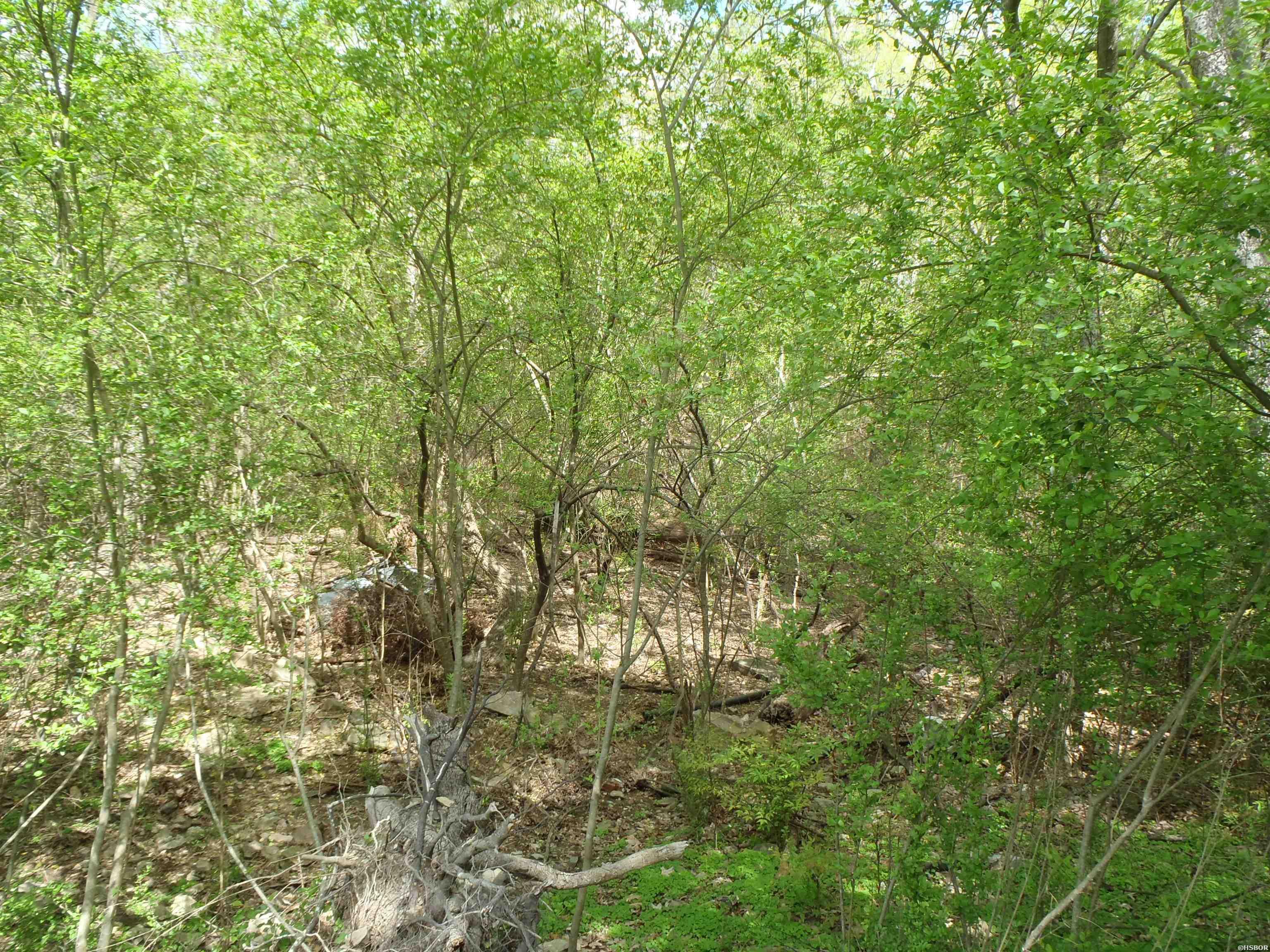 Xxx Yorkshire Drive Property Photo 6