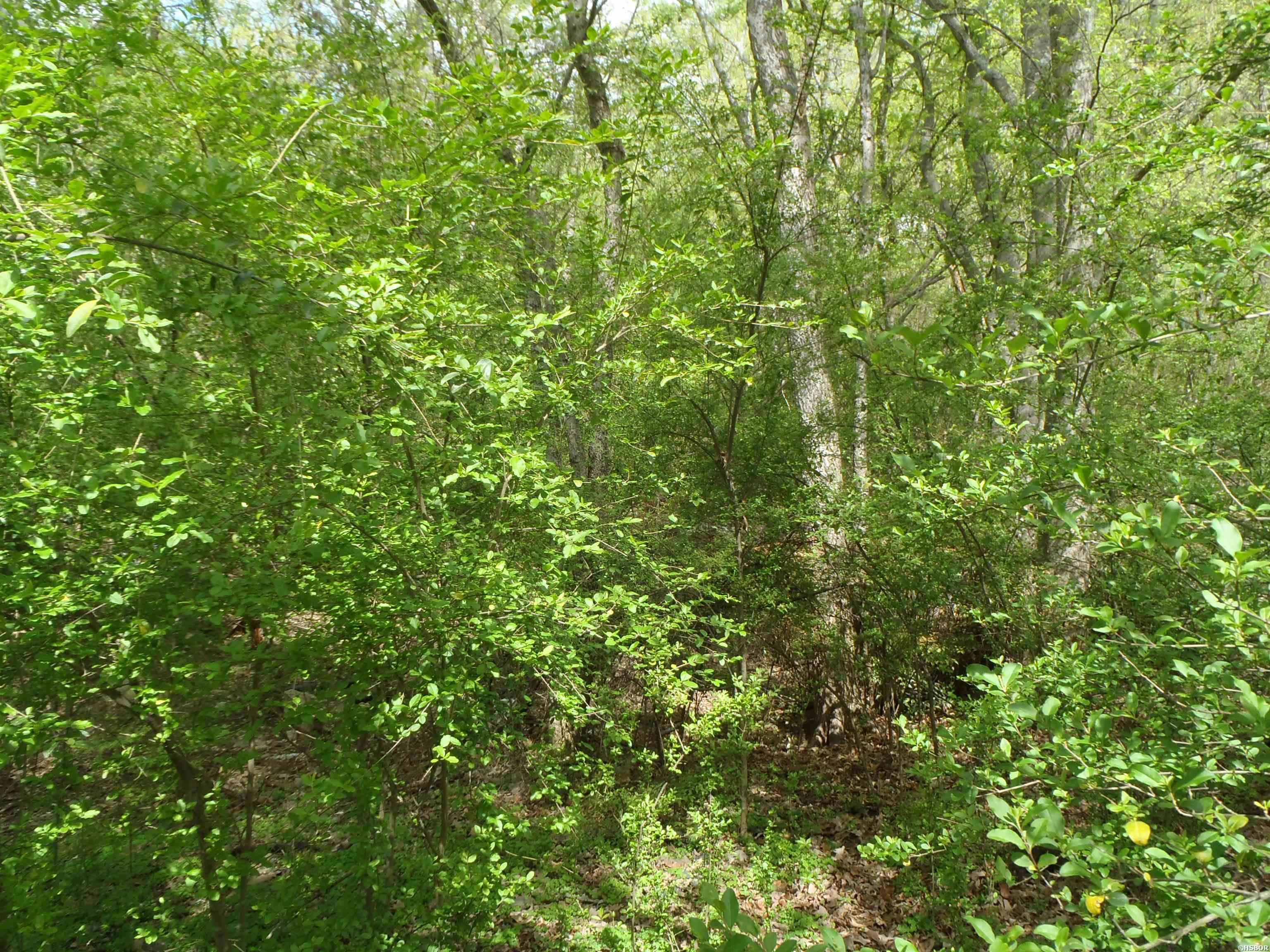 Xxx Yorkshire Drive Property Photo 7
