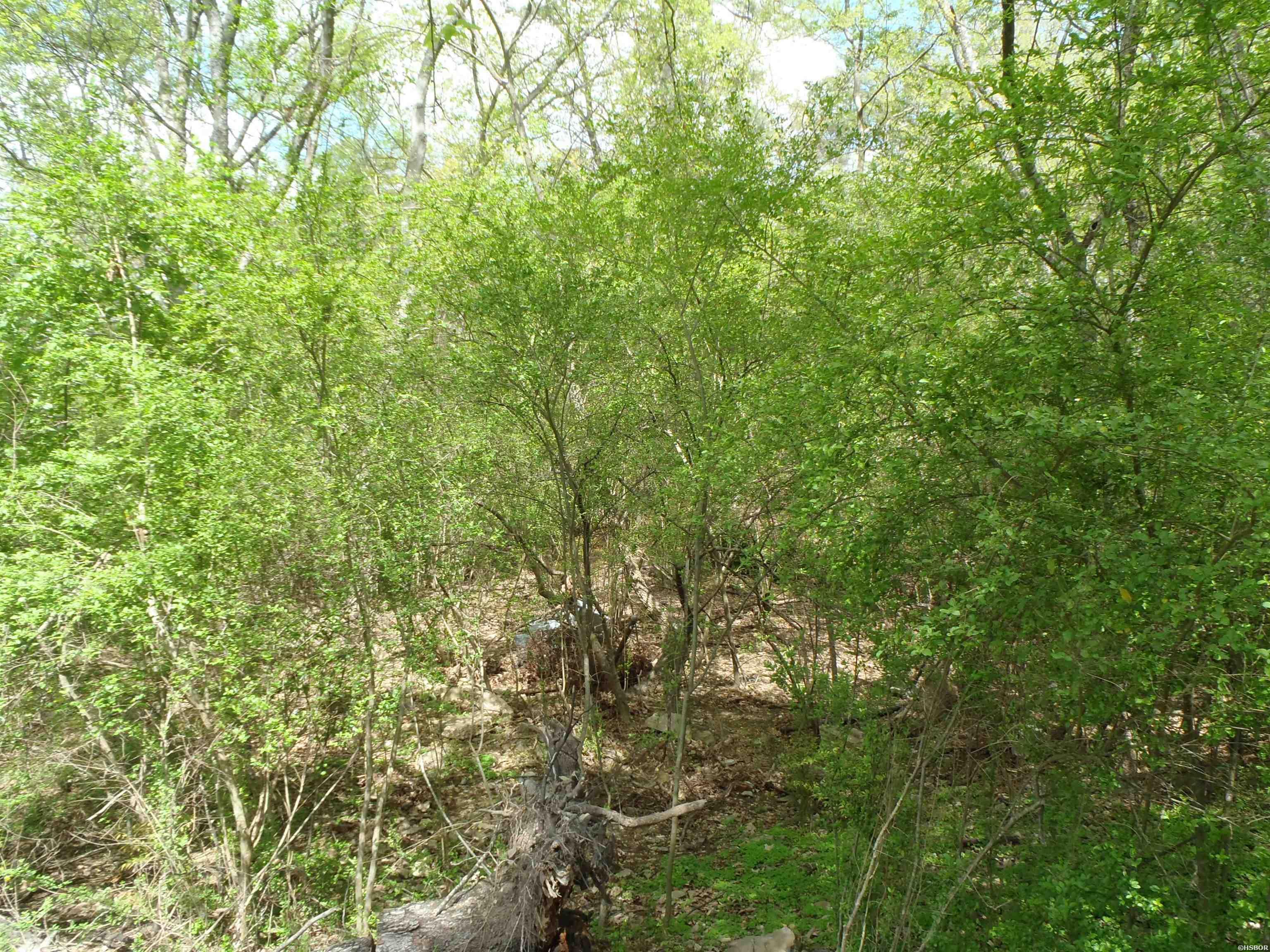 Xxx Yorkshire Drive Property Photo 8