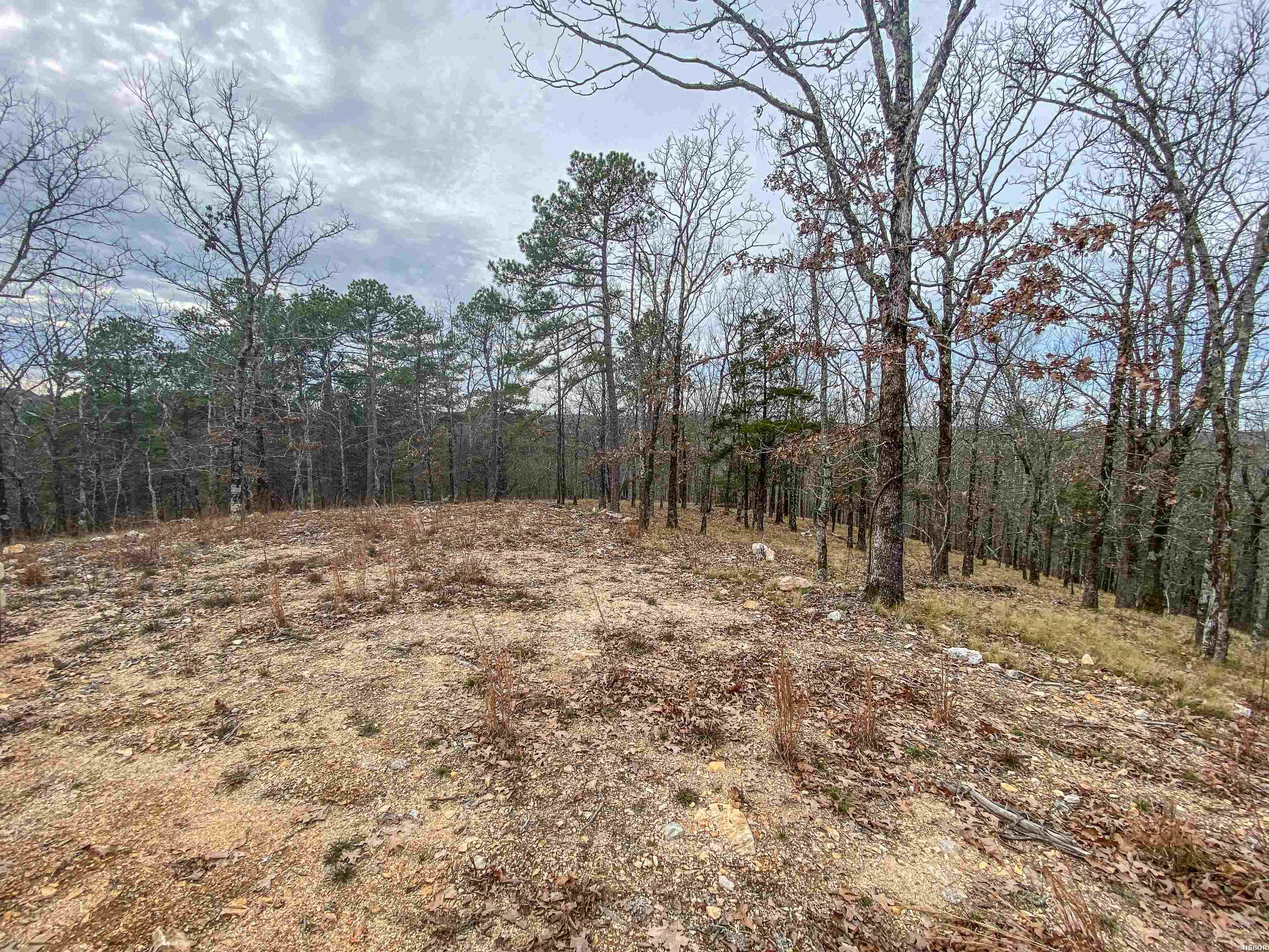 000 Shorthorn Lane Property Photo 11