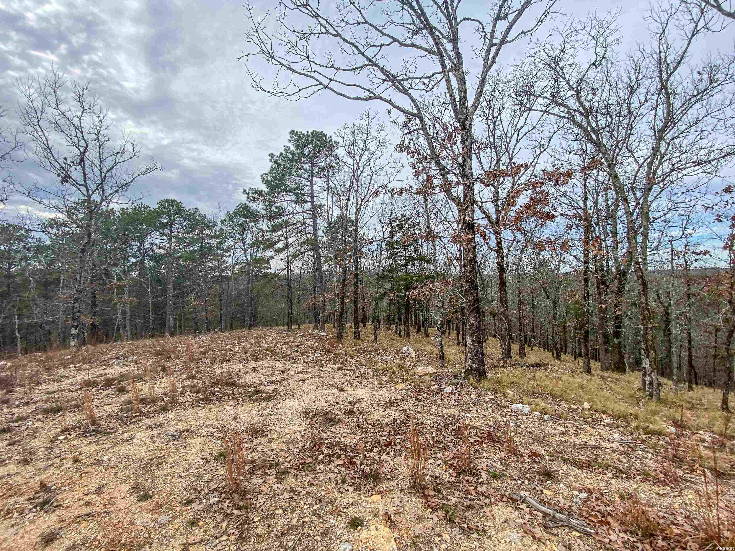 000 Shorthorn Lane Property Photo 12