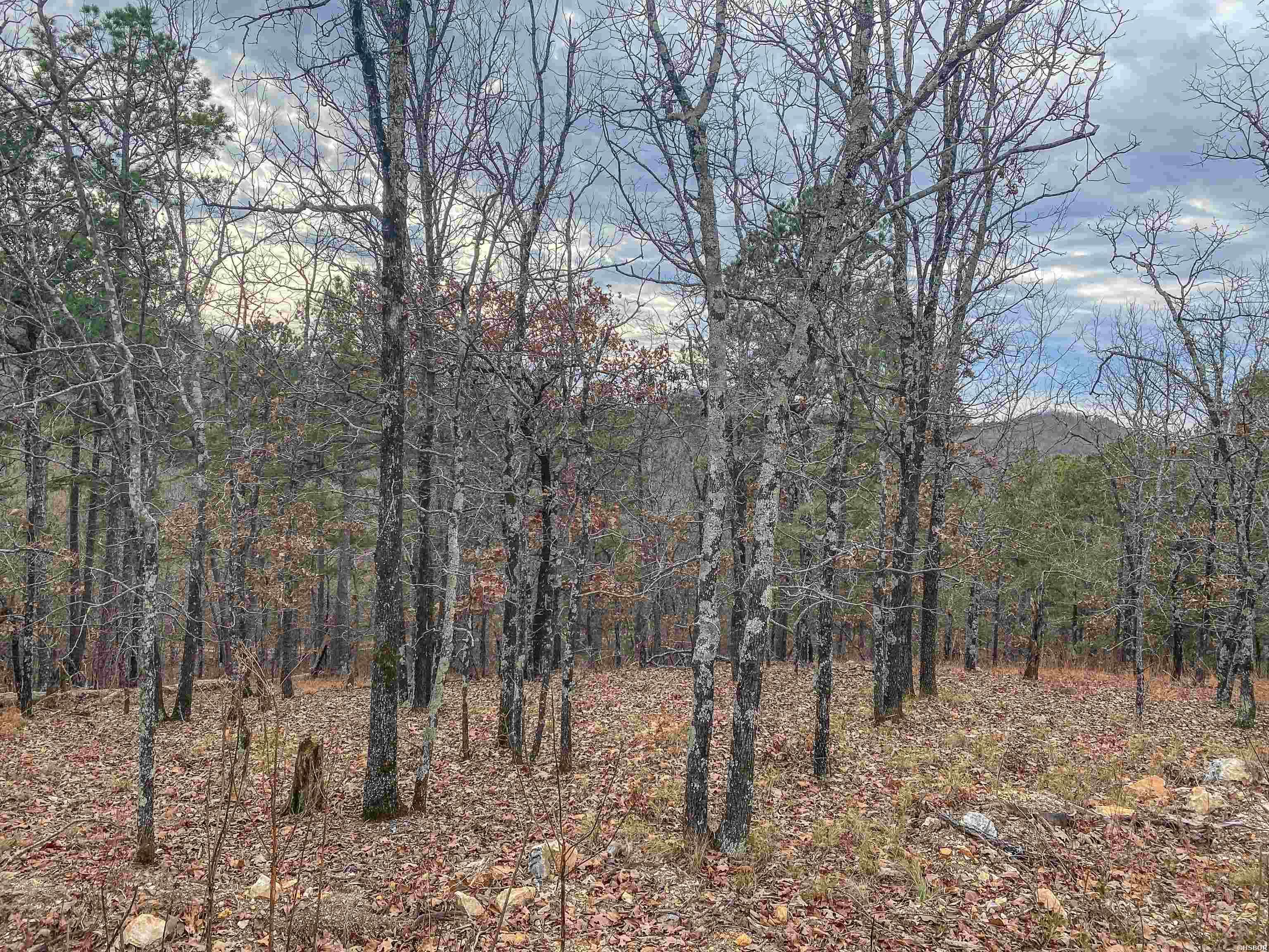 000 Shorthorn Lane Property Photo 15