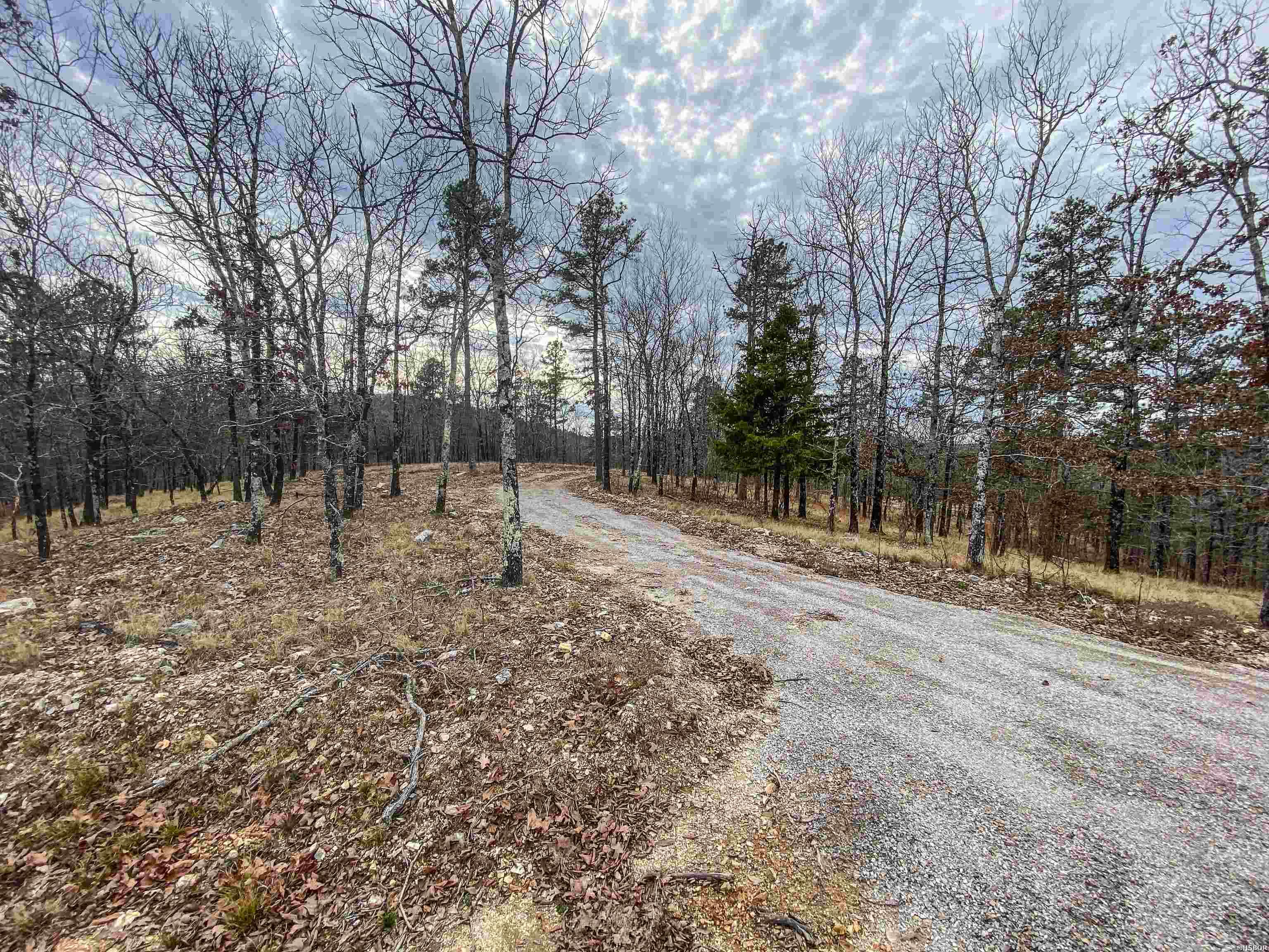 000 Shorthorn Lane Property Photo 17