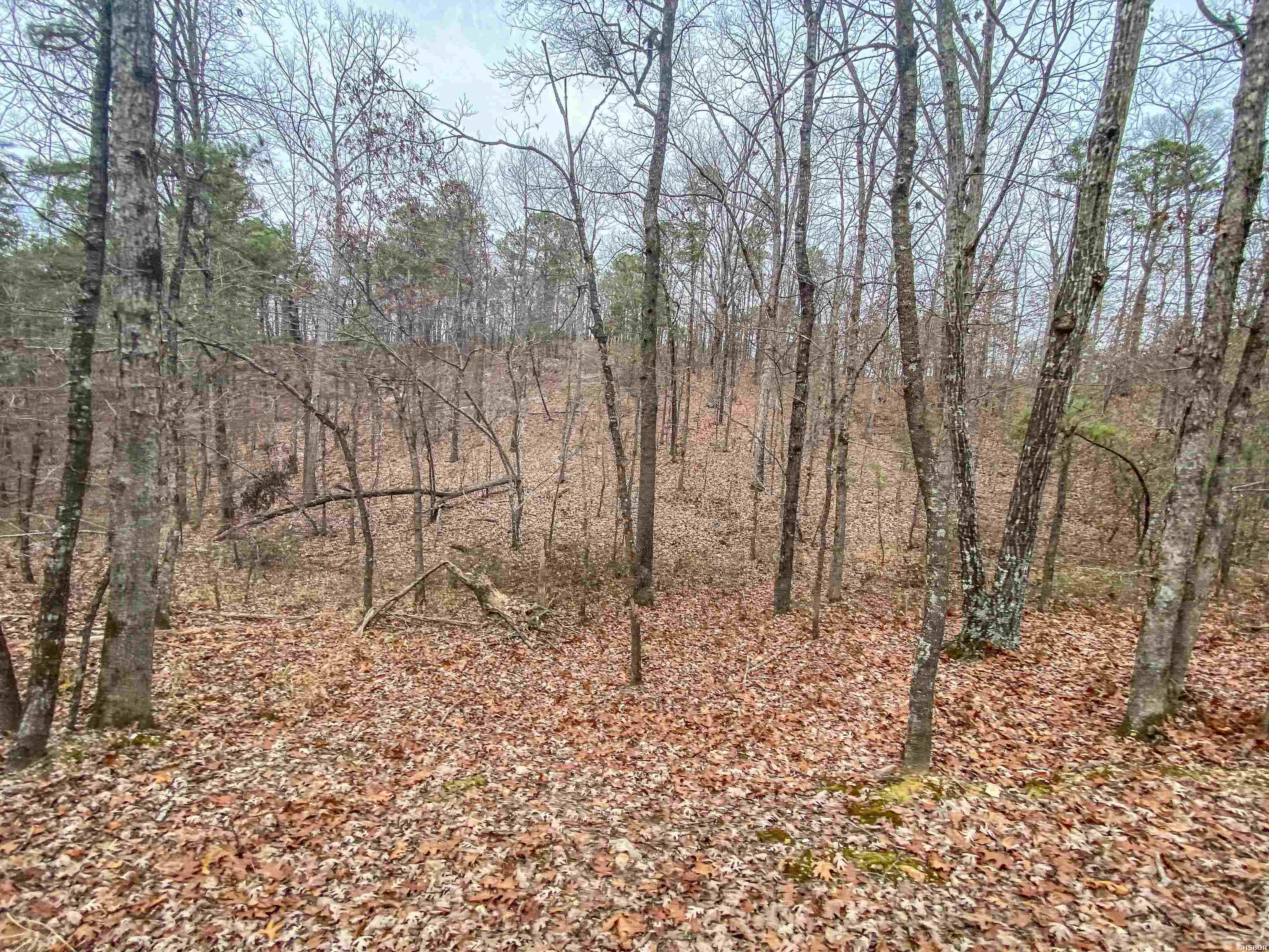 000 Shorthorn Lane Property Photo 18