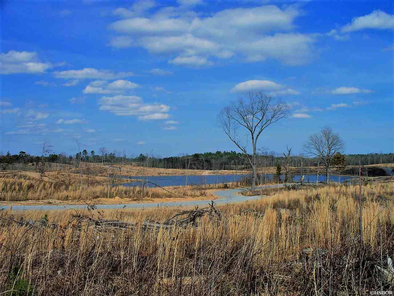 Lot 12 Snorting Buffalo Property Photo 9