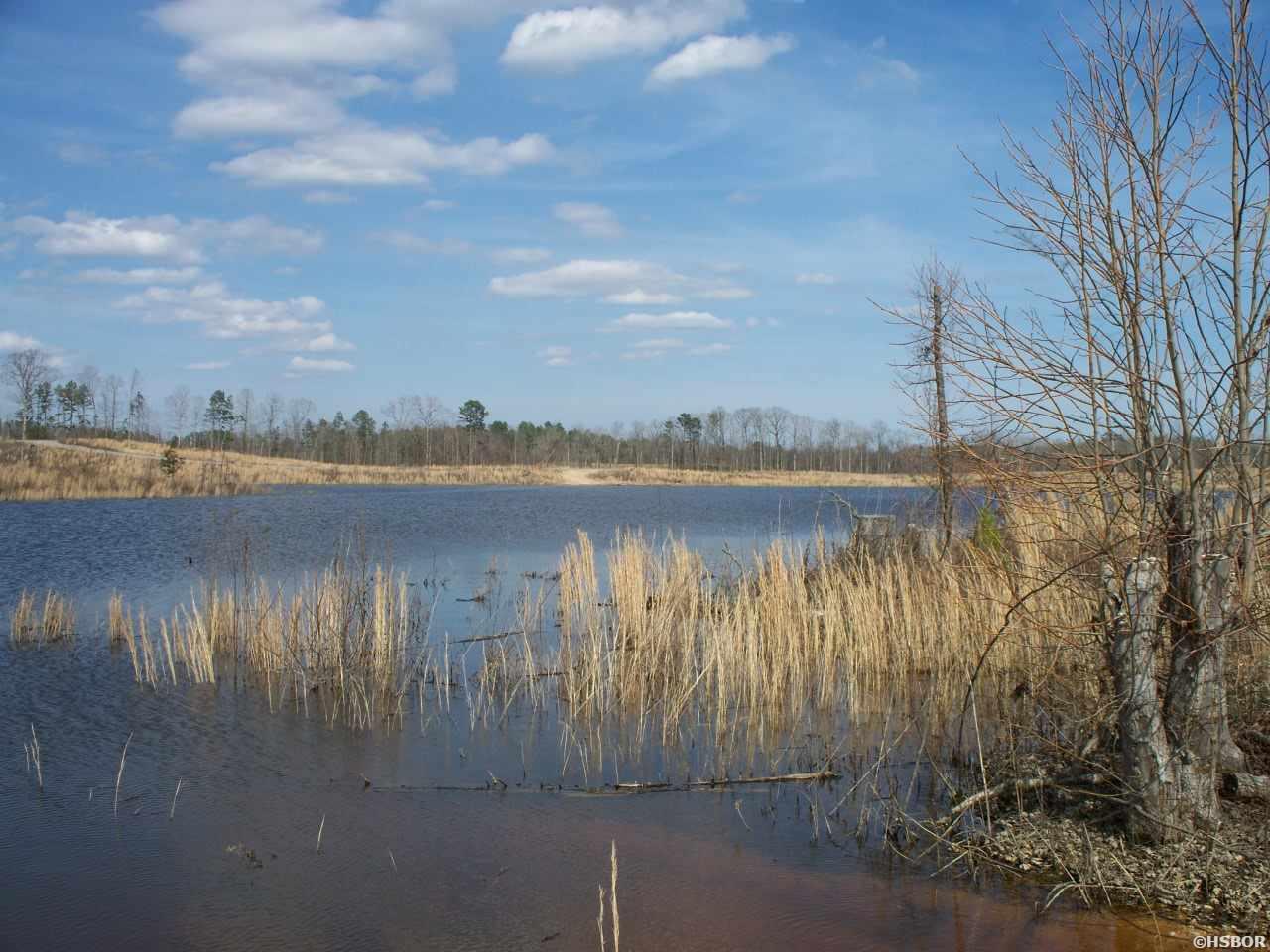 Lot 12 Snorting Buffalo Property Photo 11