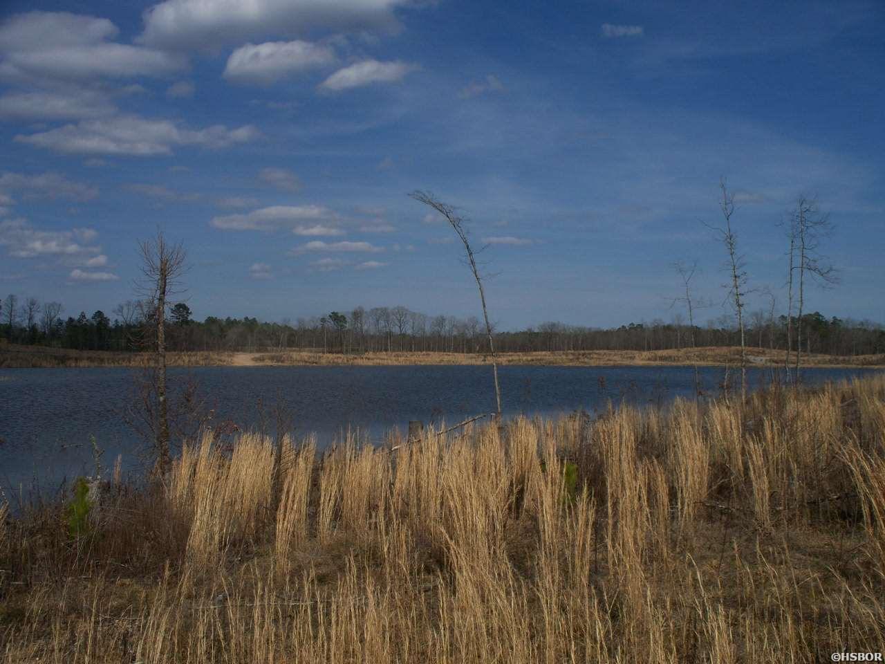 Lot 12 Snorting Buffalo Property Photo 13