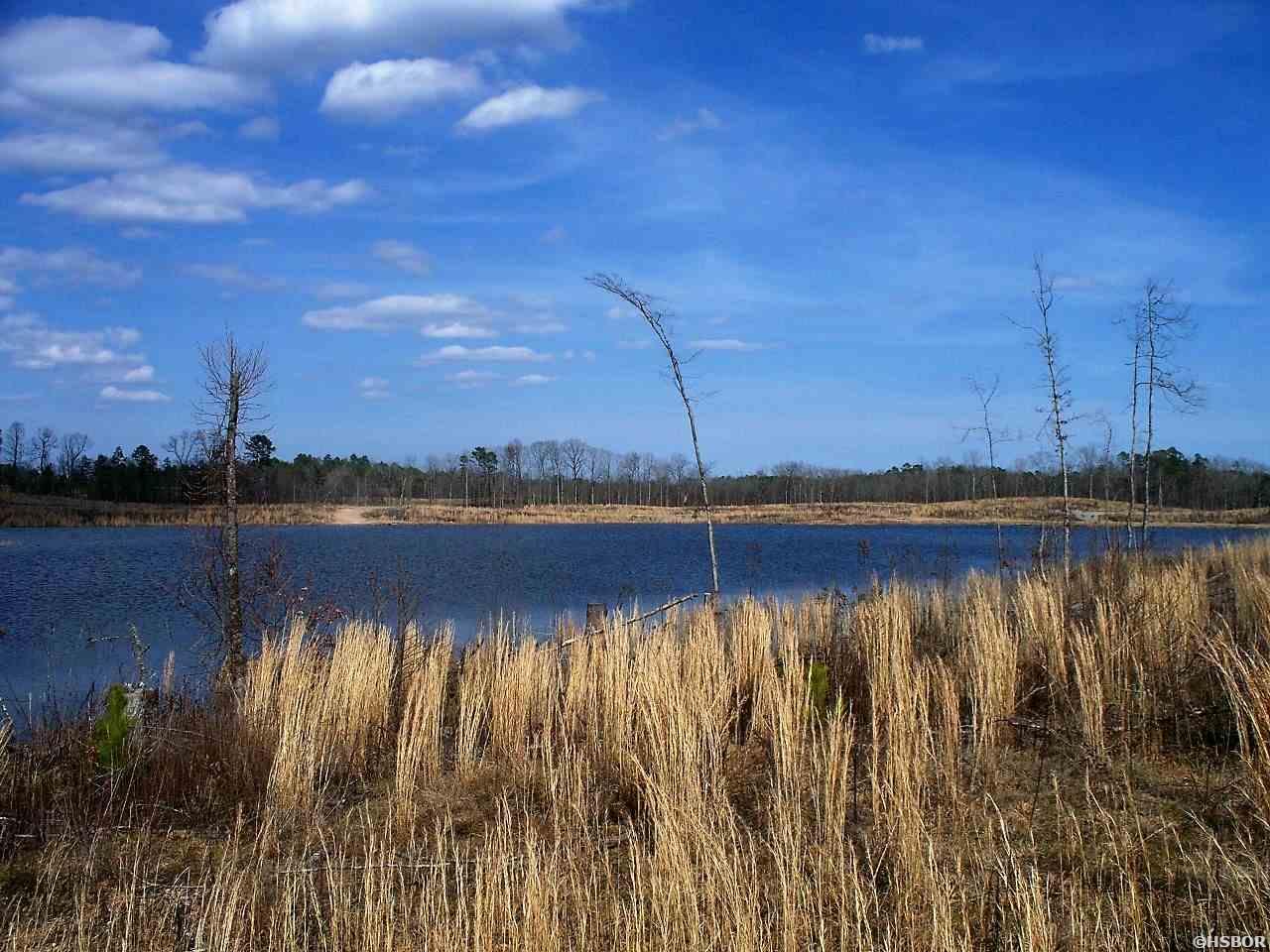 Lot 12 Snorting Buffalo Property Photo 14