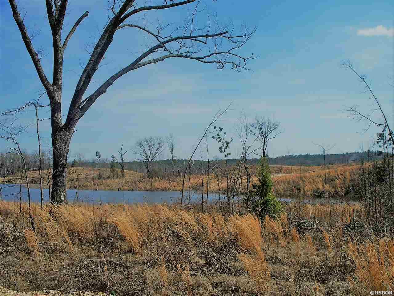 Lot 12 Snorting Buffalo Property Photo 15