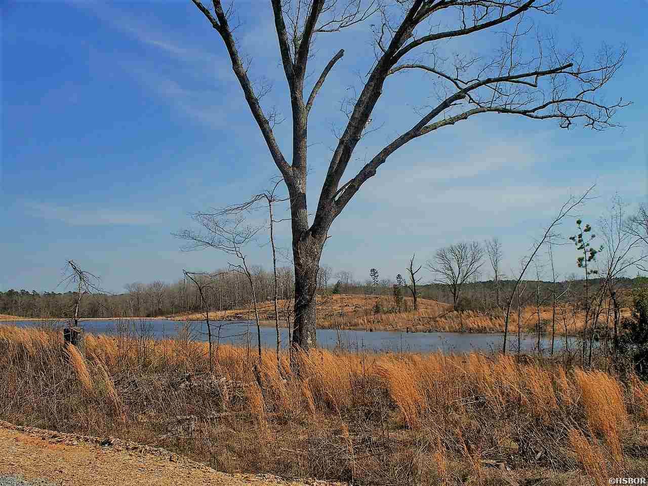 Lot 12 Snorting Buffalo Property Photo 16