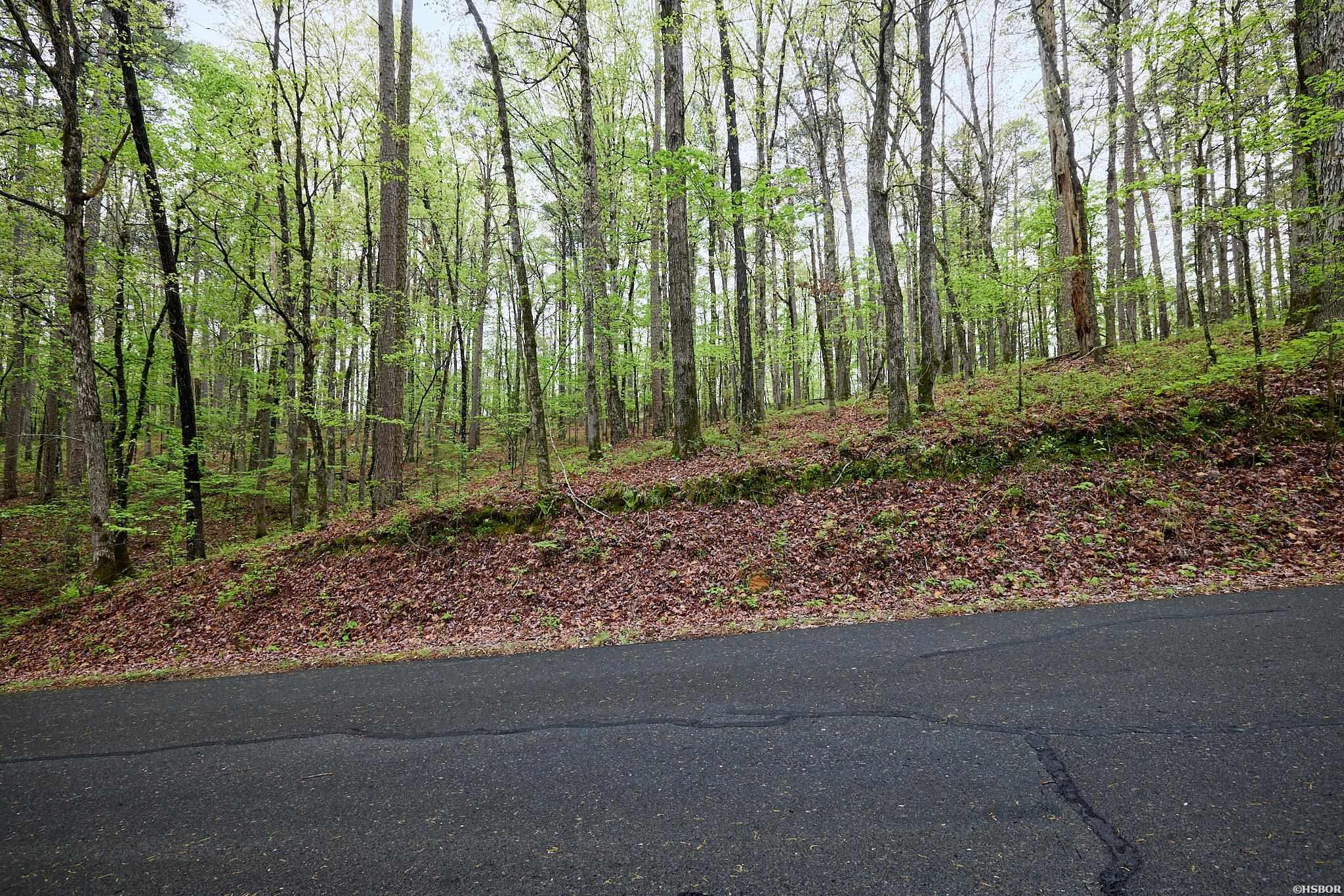 Lot 15 Doscientos Way Property Photo 1