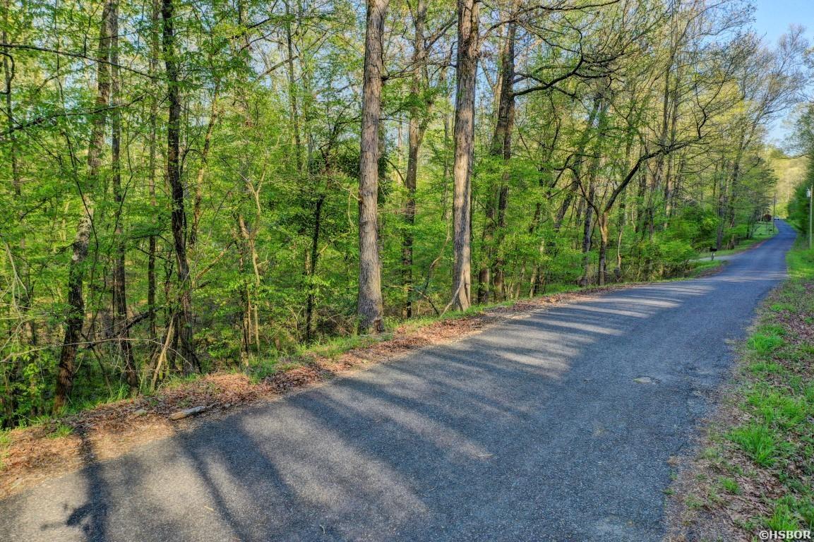 Lot 54 And 55 Tall Hickory Road Property Photo 7