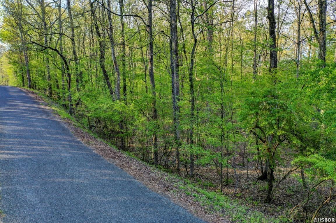 Lot 54 And 55 Tall Hickory Road Property Photo 8