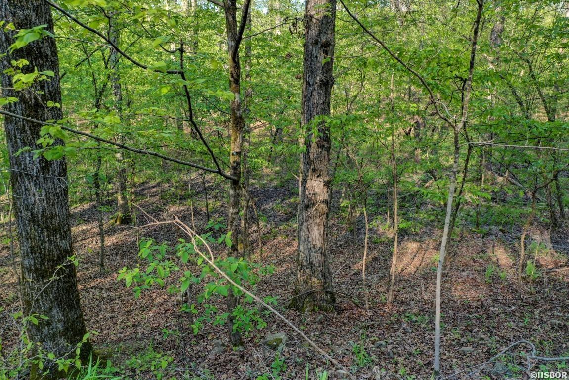 Lot 54 And 55 Tall Hickory Road Property Photo 9