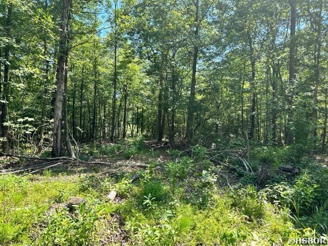 Xxxx Chicot Trail Property Photo 5