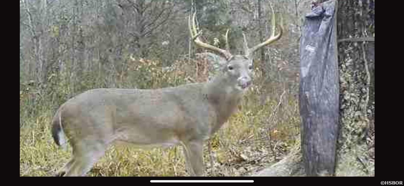 Xxxx Chicot Trail Property Photo 14