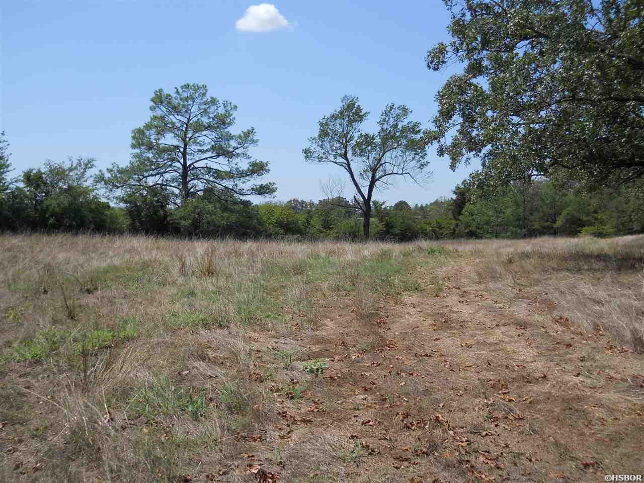 Tbd Gabor Lane Property Photo 4