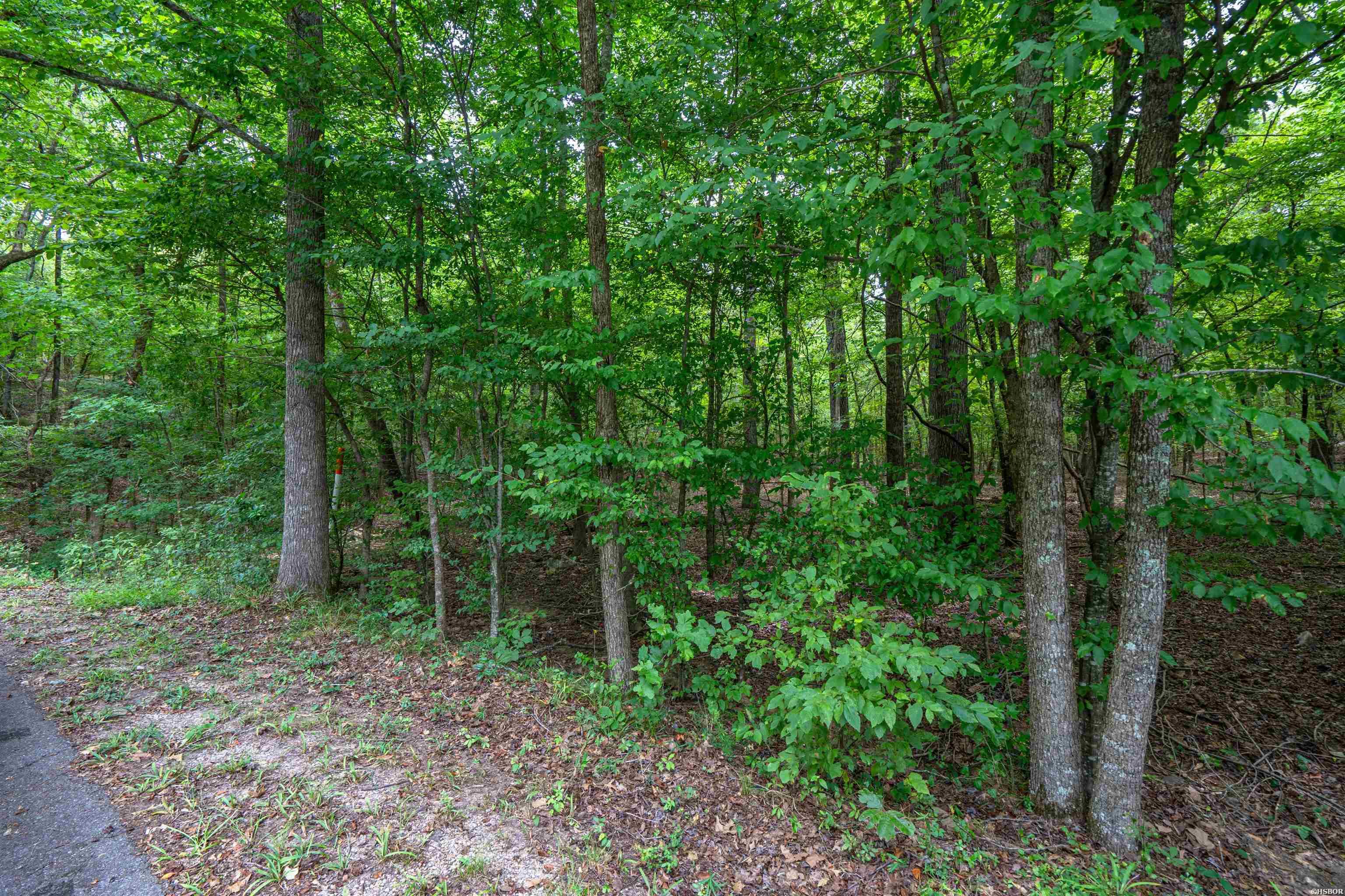 Lot 28 Deer Run Property Photo 1