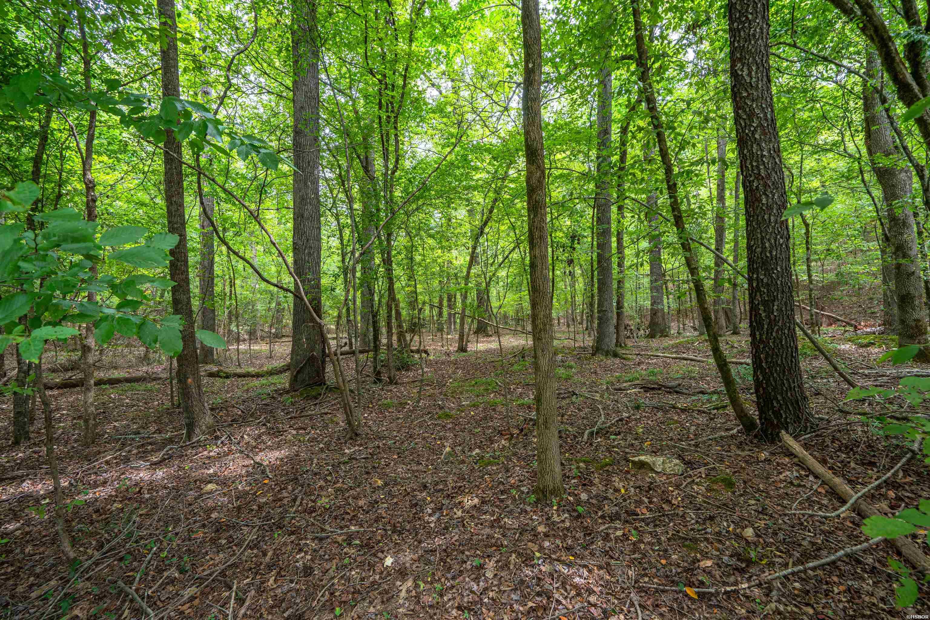 Lot 28 Deer Run Property Photo 2