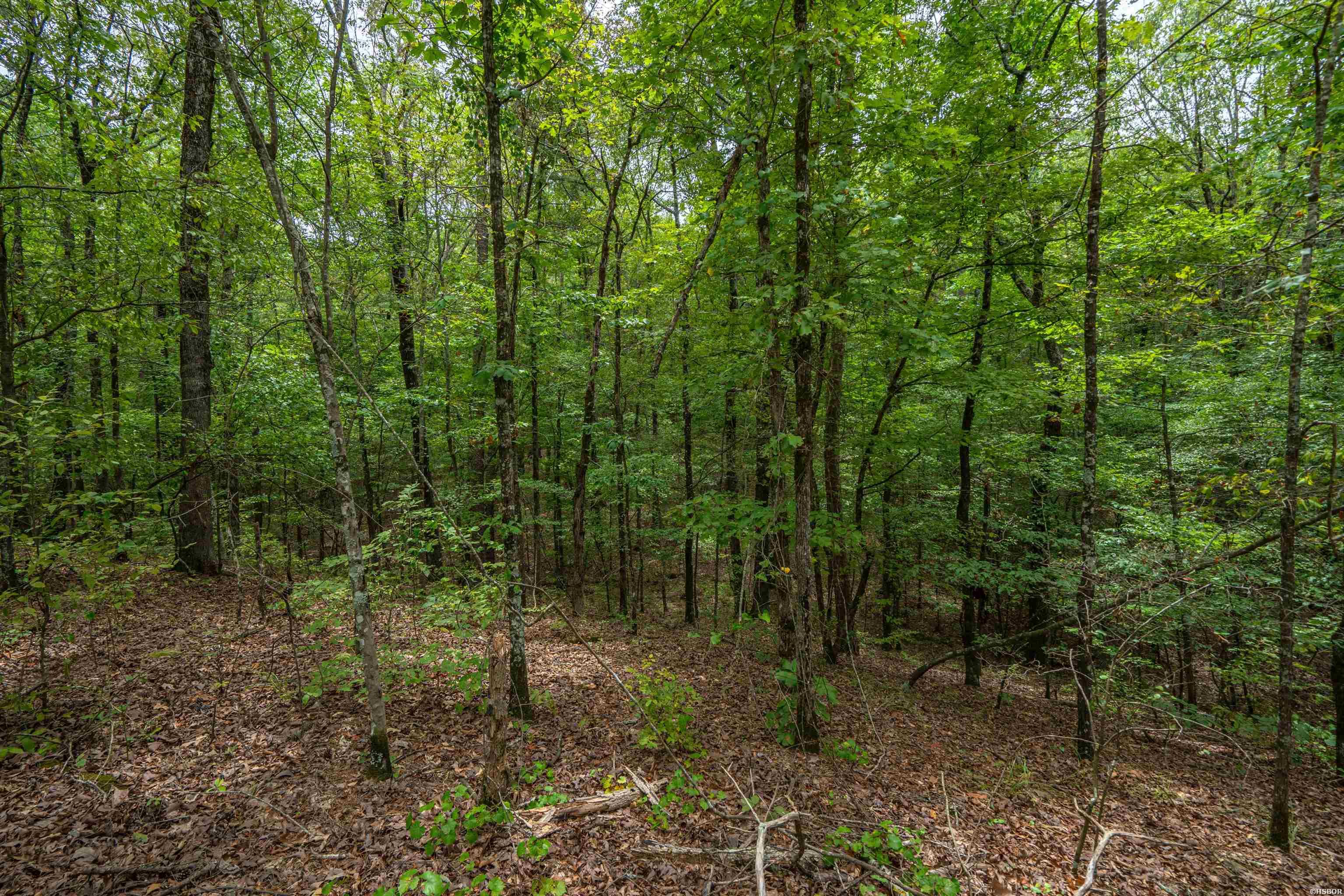 Lot 11 Eagles Nest Lane Property Photo 8