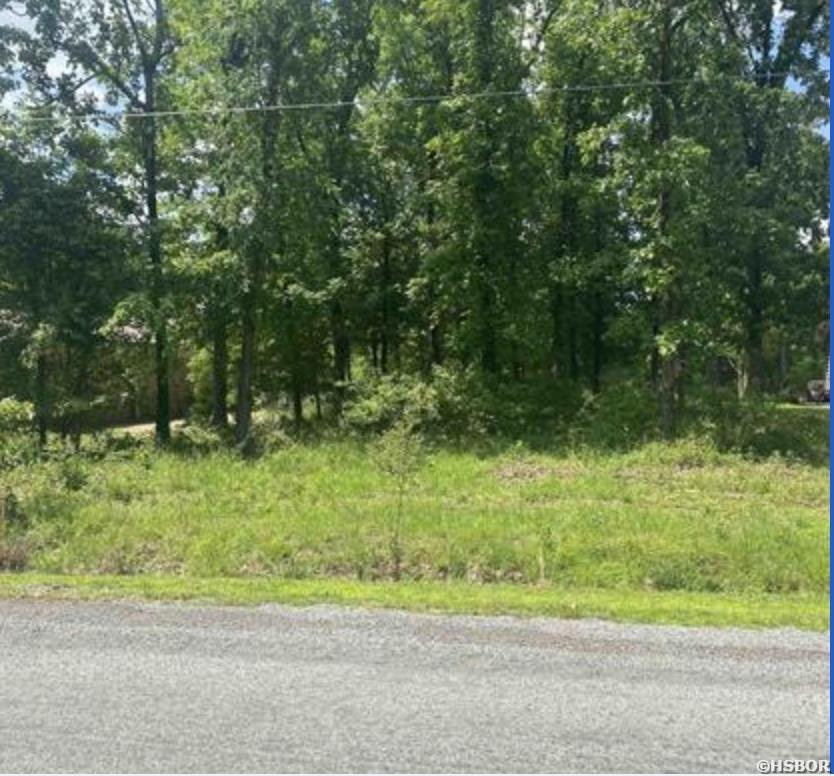 Lot 1570 Diamondhead Drive Property Photo