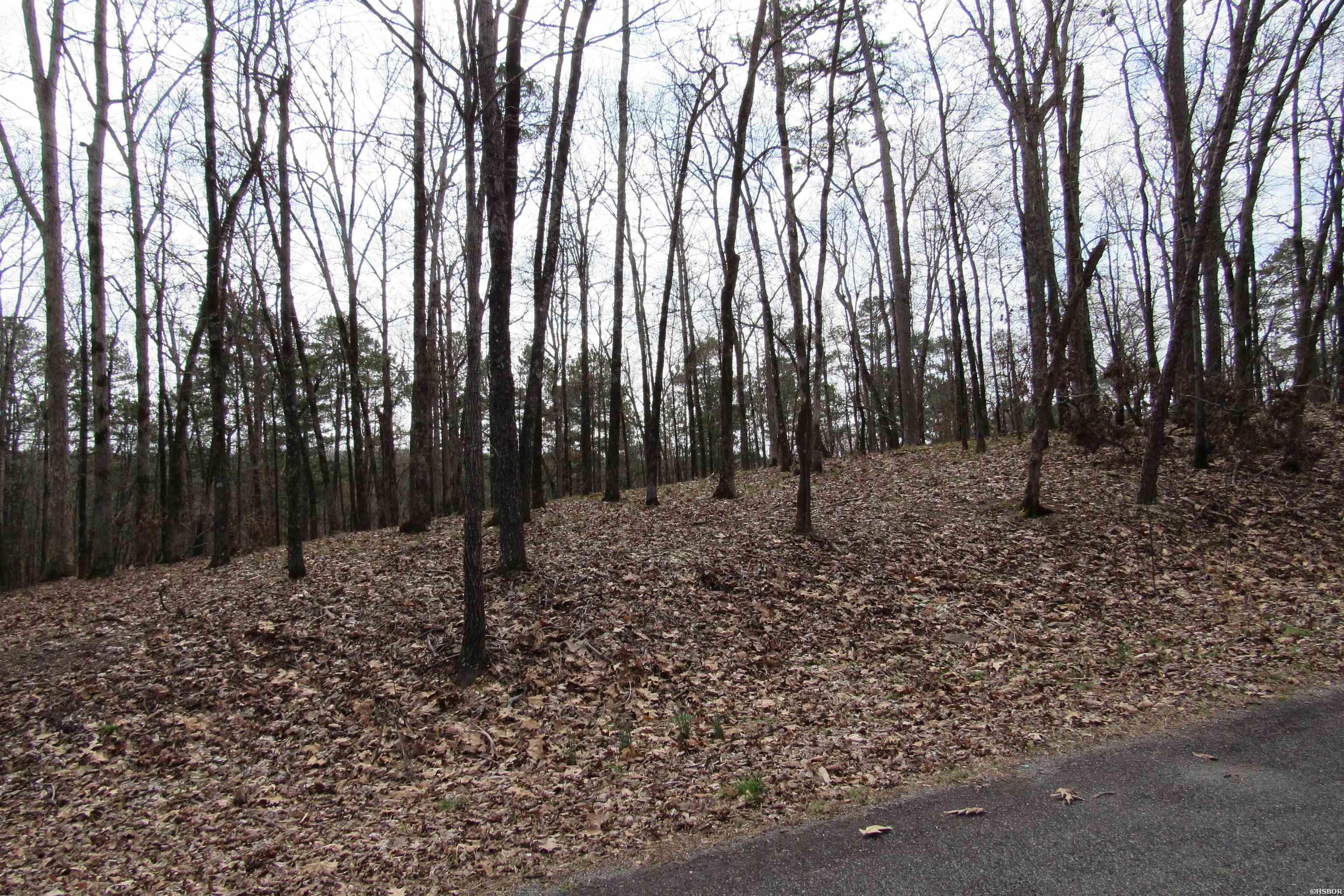1667a-1671a Westchester Court Property Photo 3