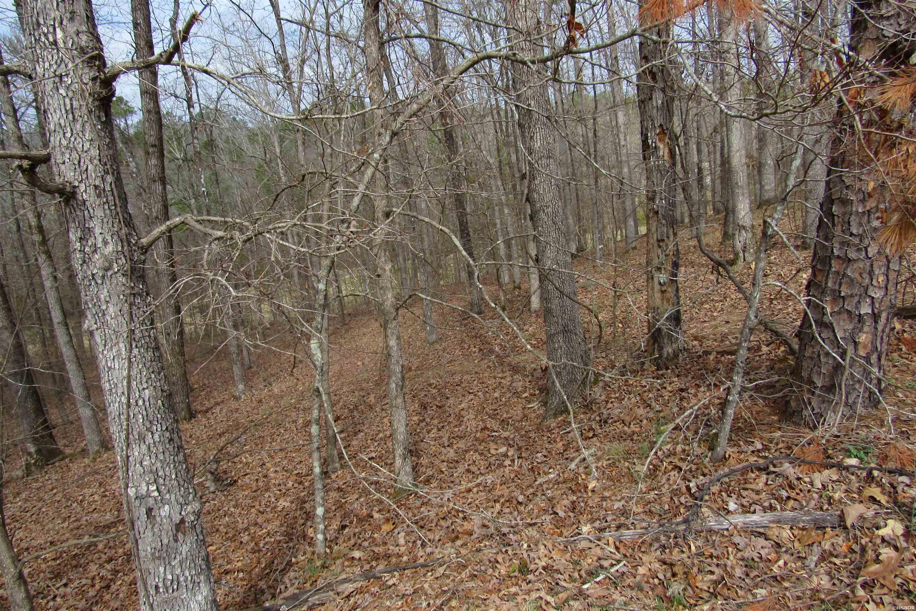 1667a-1671a Westchester Court Property Photo 11