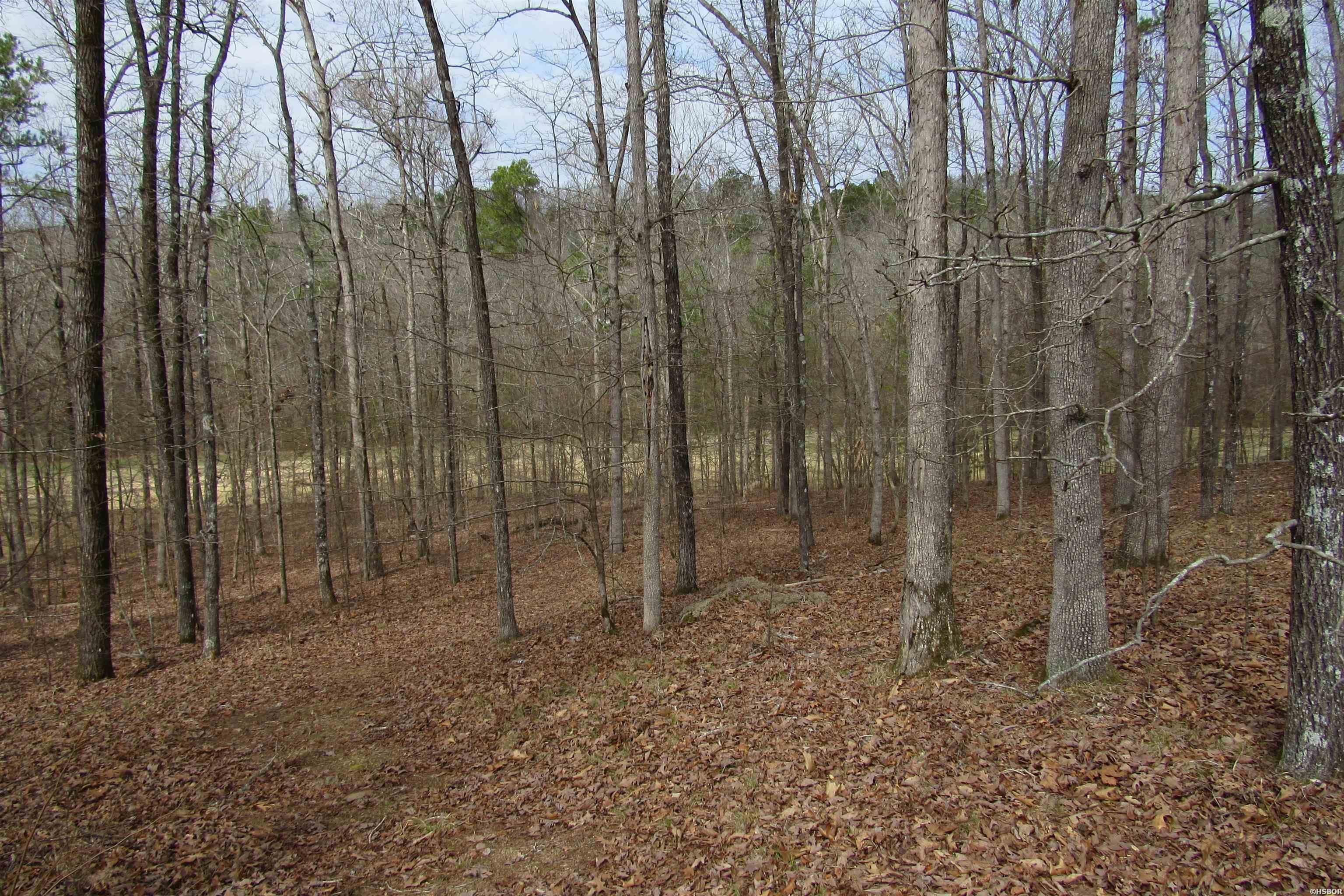 1667a-1671a Westchester Court Property Photo 13