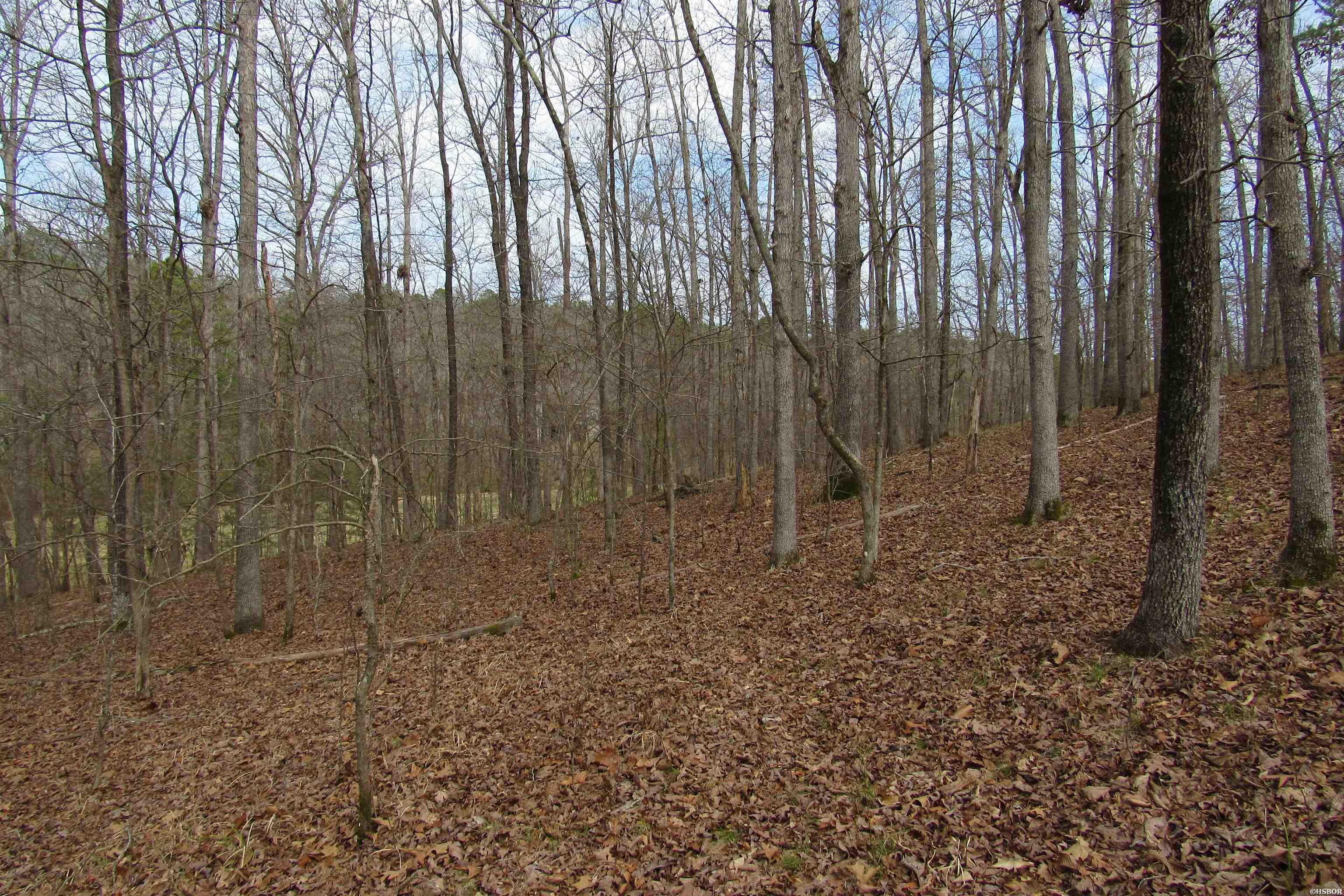 1667a-1671a Westchester Court Property Photo 15