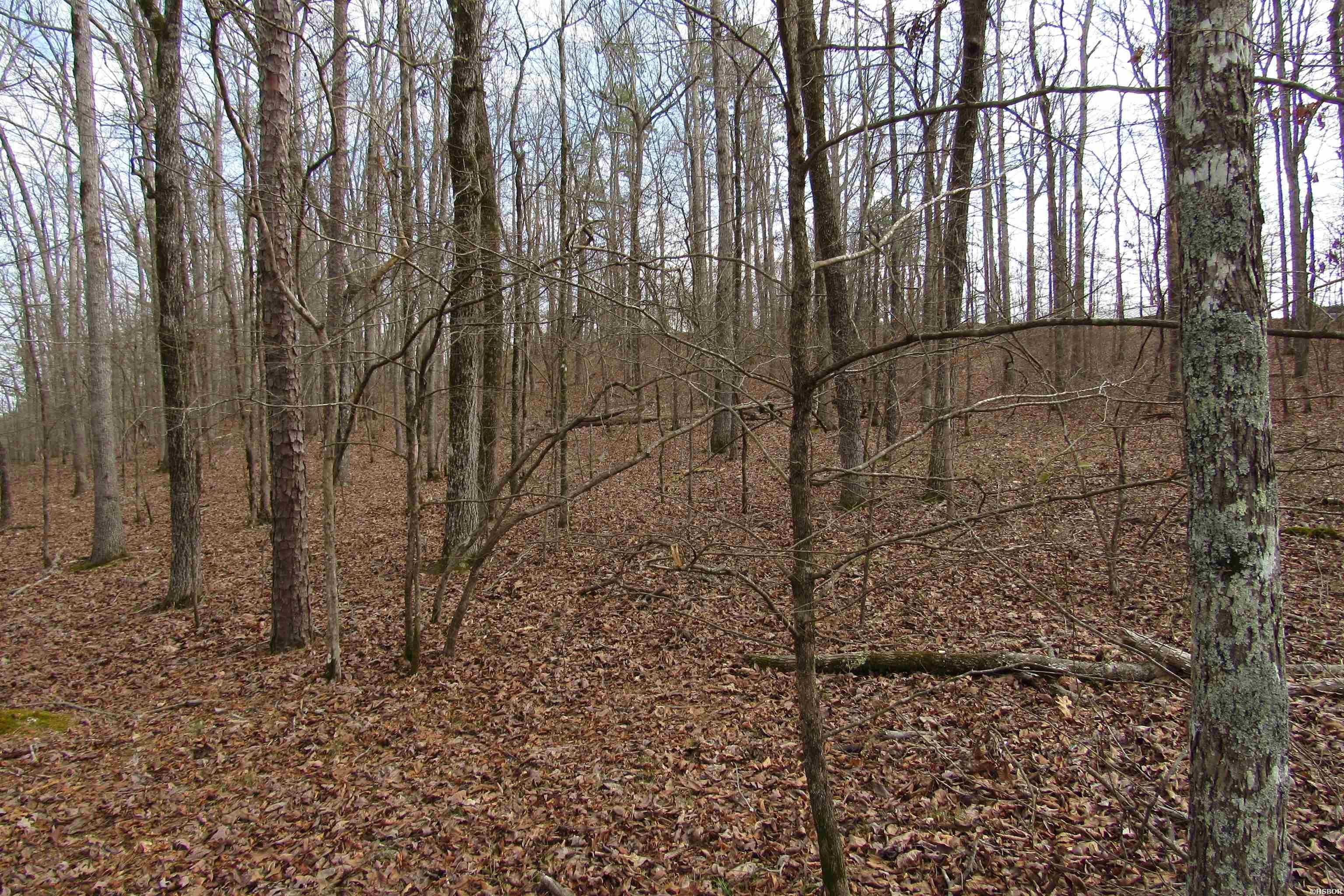 1667a-1671a Westchester Court Property Photo 18