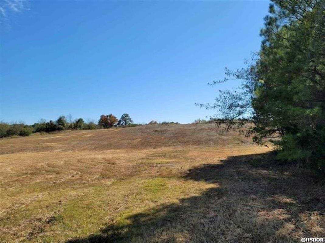 Xxx Mountain Pine Road Property Photo 3