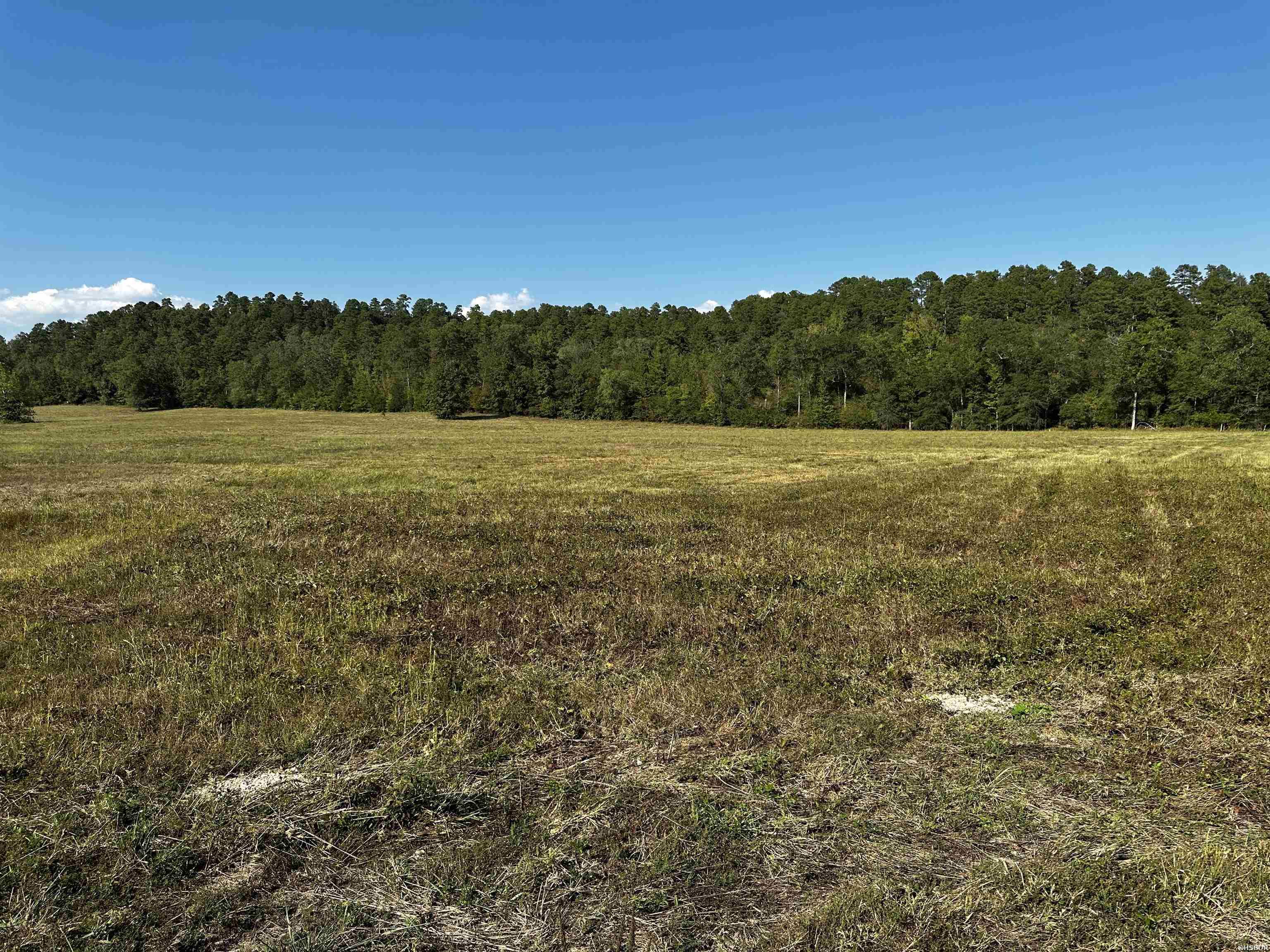 202 Reva's Road Property Photo 1