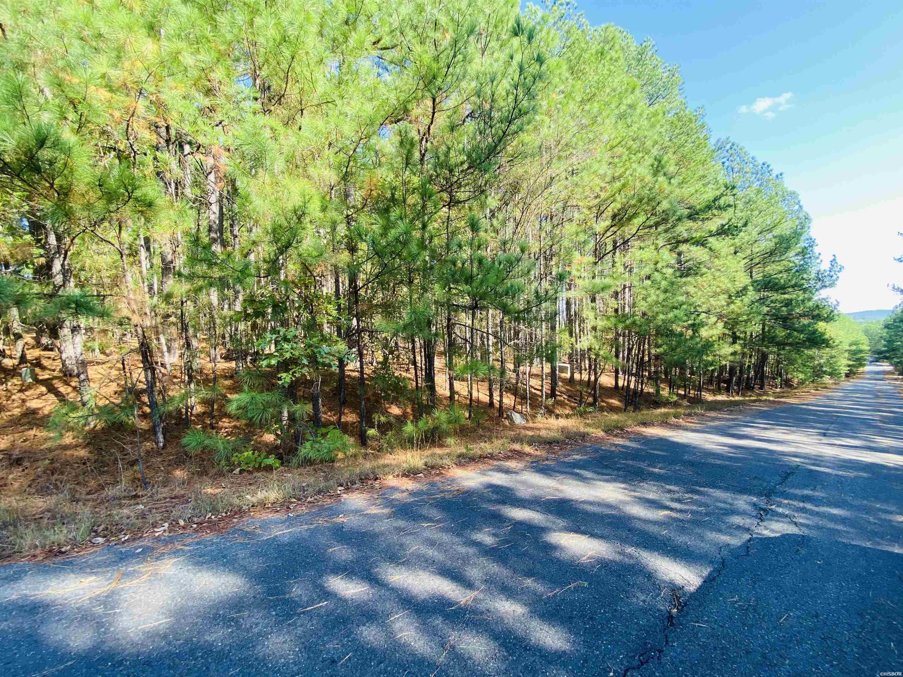 Xxx Mandarina Drive Property Photo 1