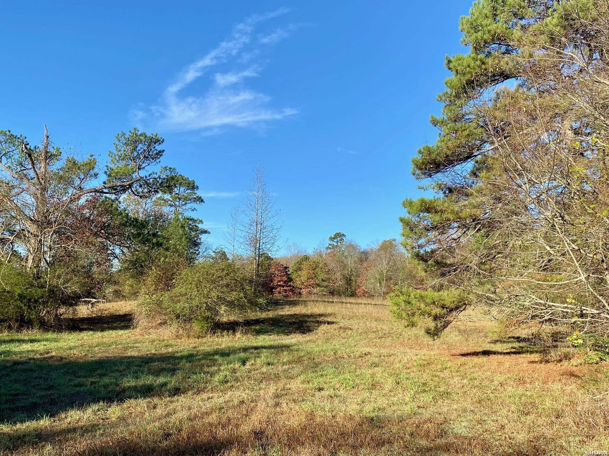 Xxx Ragweed Valley Road Property Photo 2