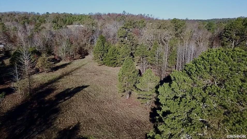 Xxx Ragweed Valley Road Property Photo 3