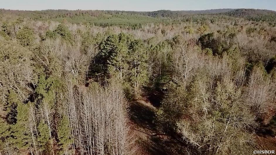 Xxx Ragweed Valley Road Property Photo 4