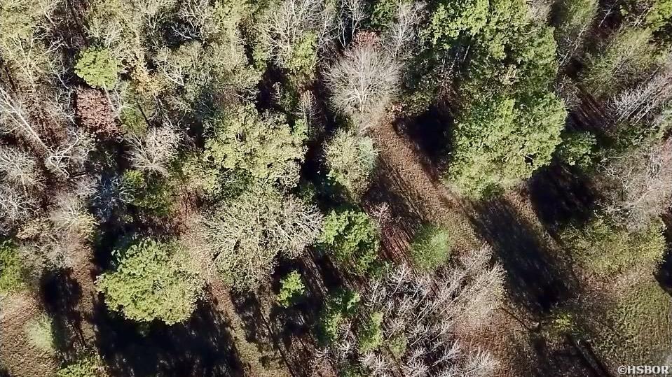 Xxx Ragweed Valley Road Property Photo 6