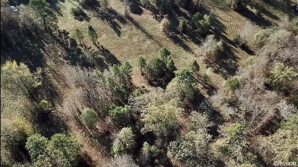 Xxx Ragweed Valley Road Property Photo 7