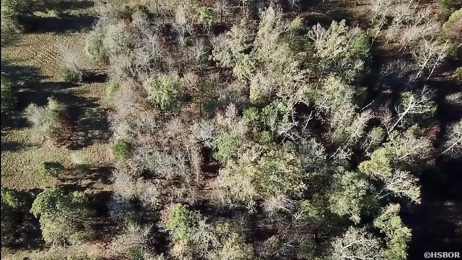 Xxx Ragweed Valley Road Property Photo 8