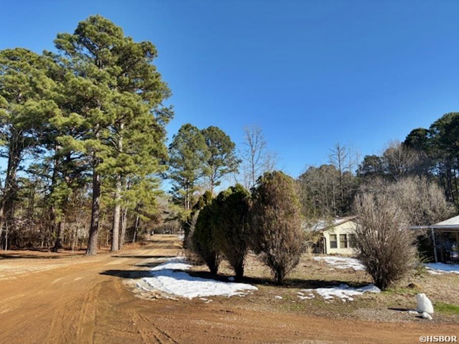 149 Lee Dixon Drive Property Photo 31
