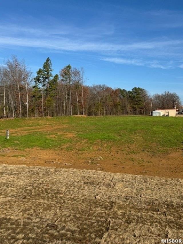 558 Hwy 365 Property Photo 7
