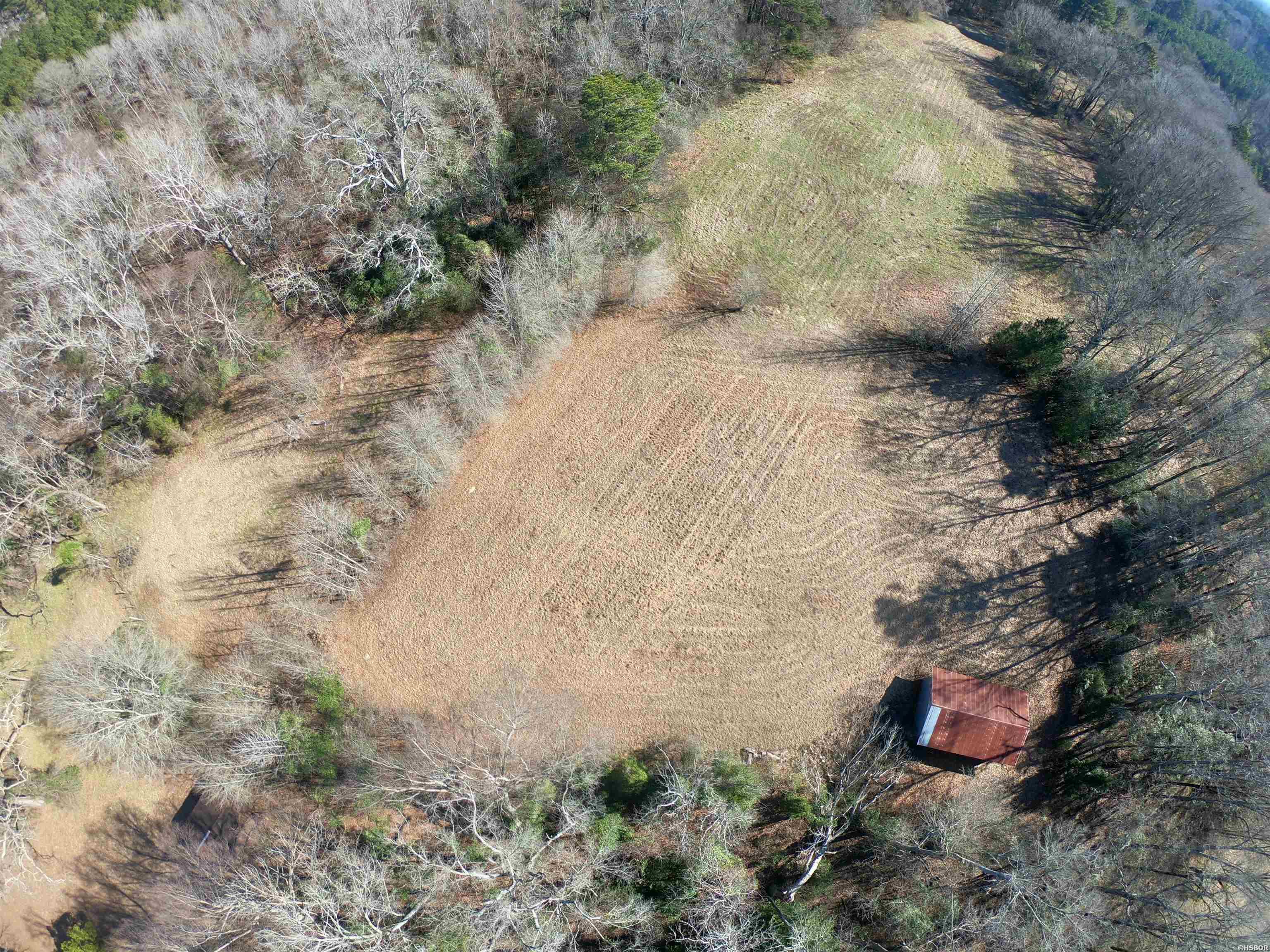 318 Central Road Property Photo 9