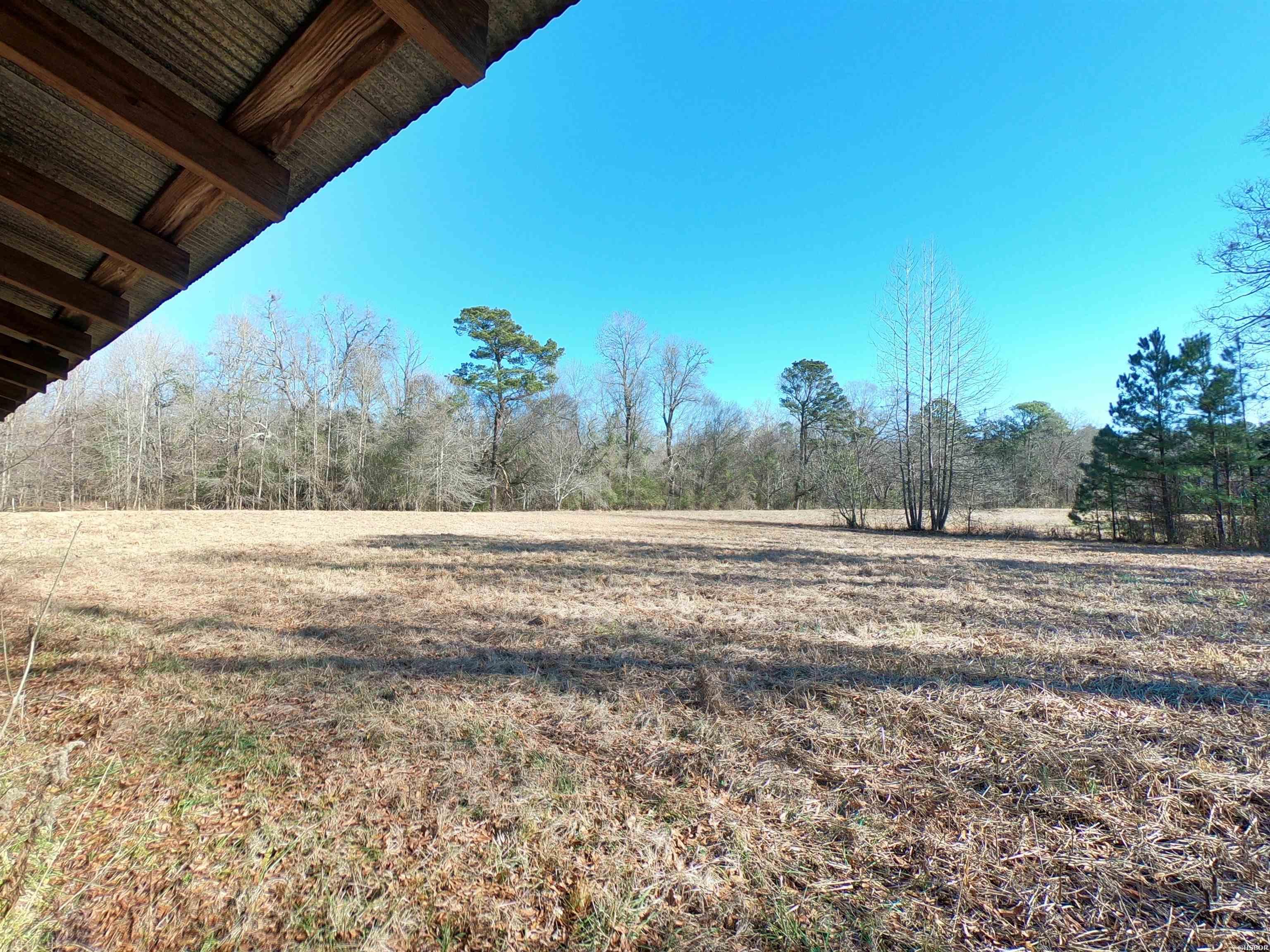 318 Central Road Property Photo 28