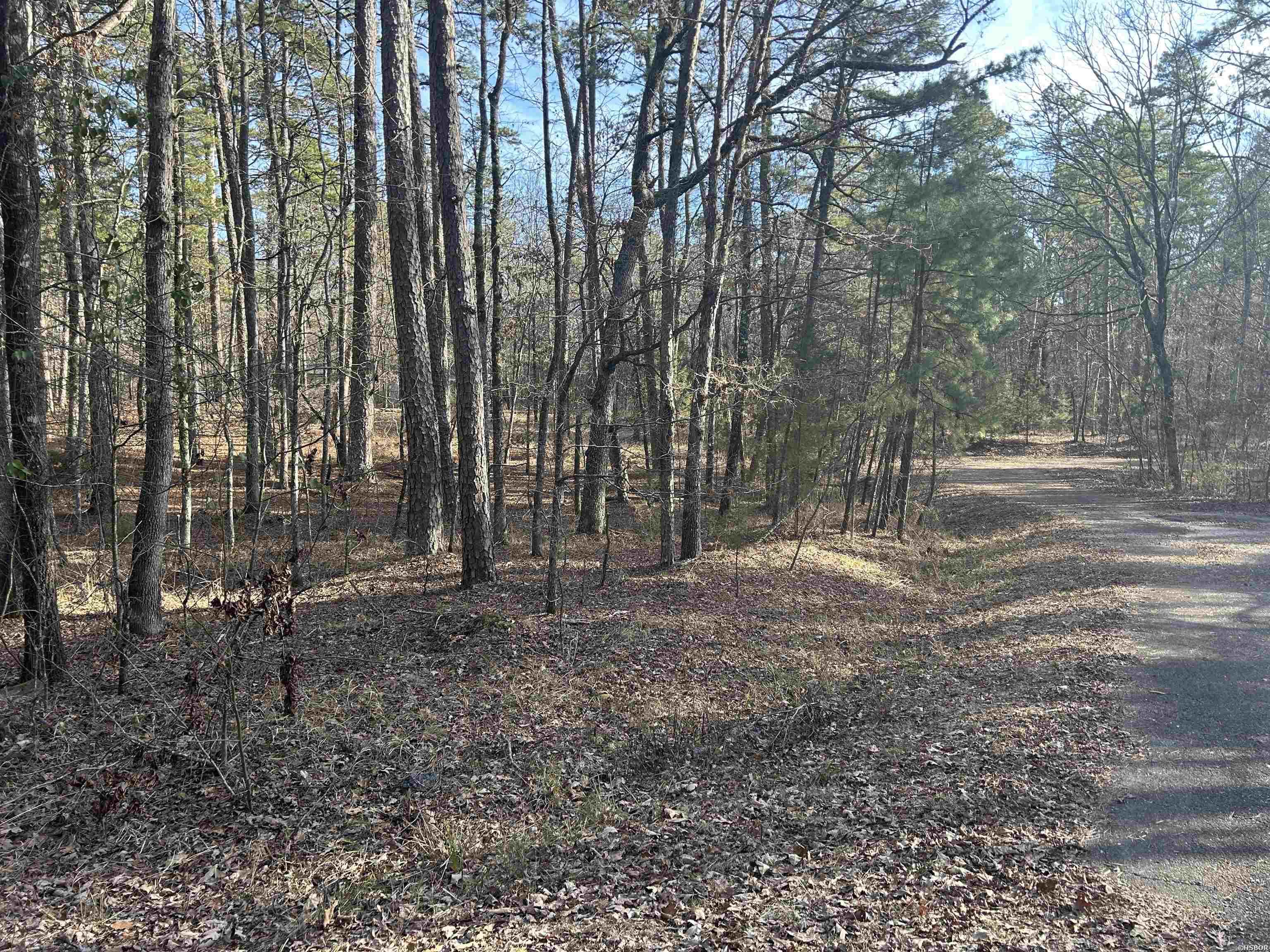 Tbd La Janda Property Photo 3