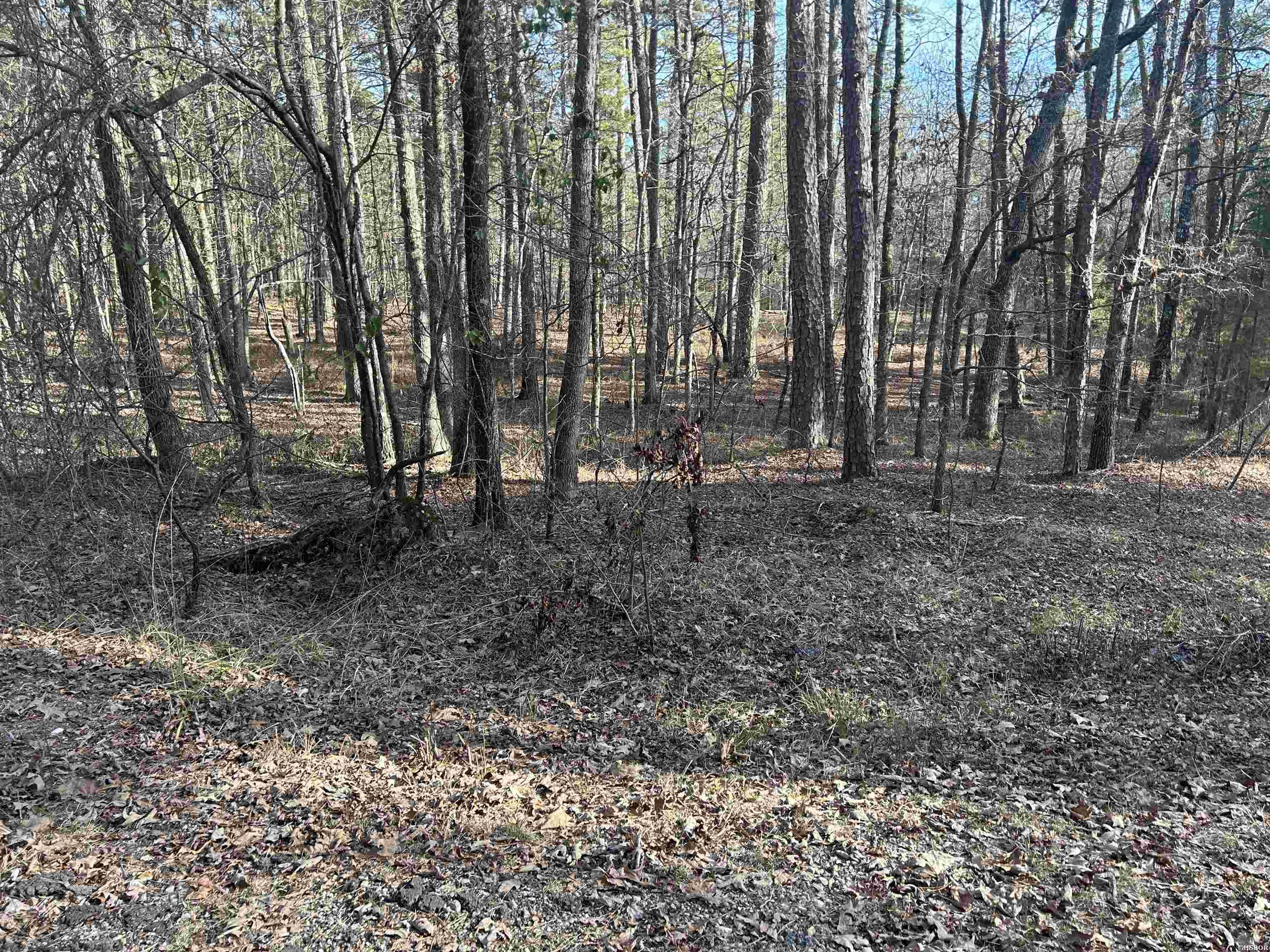 Tbd La Janda Property Photo 5