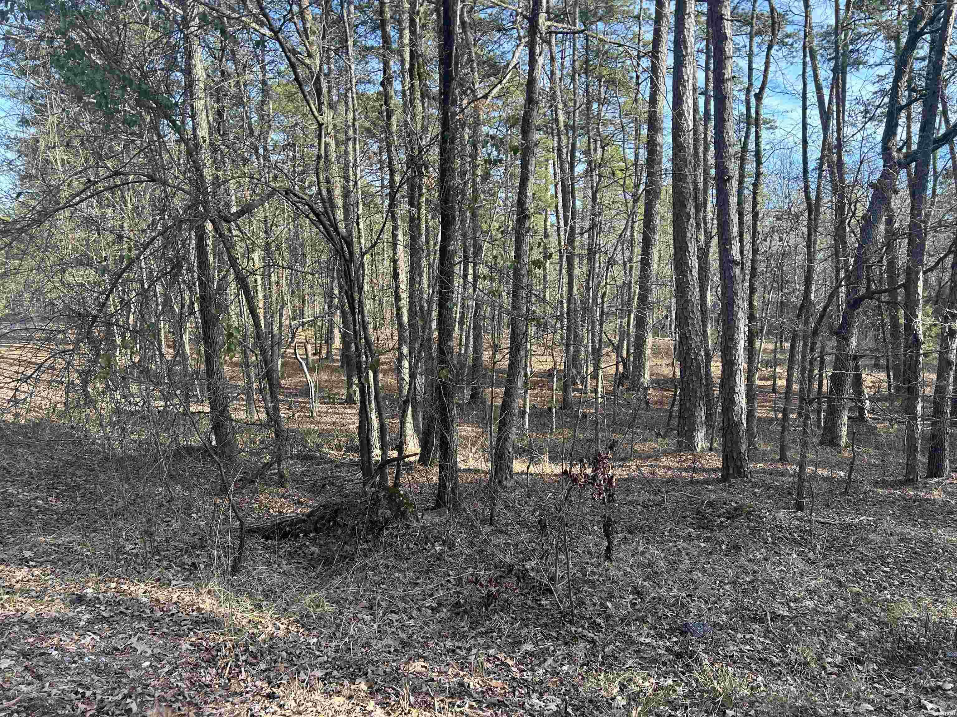 Tbd La Janda Property Photo 1