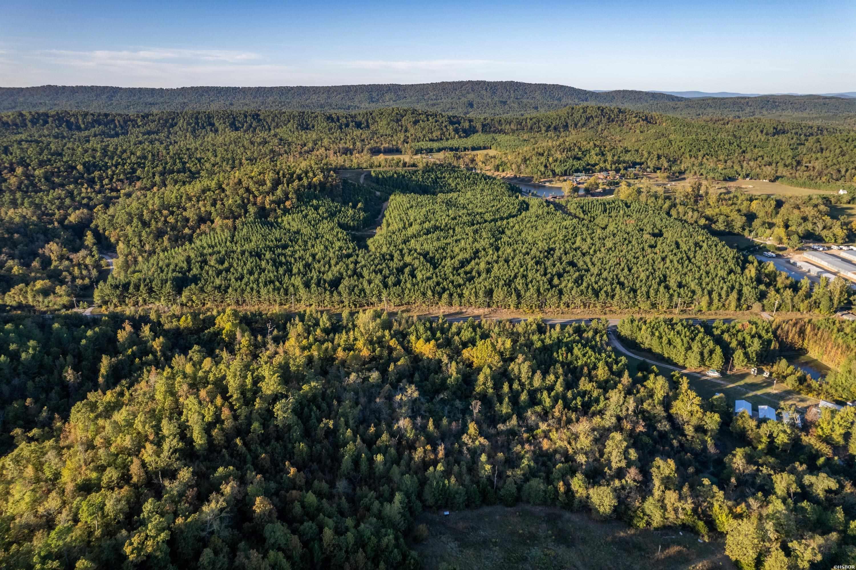Tbd Albert Pike Property Photo 4