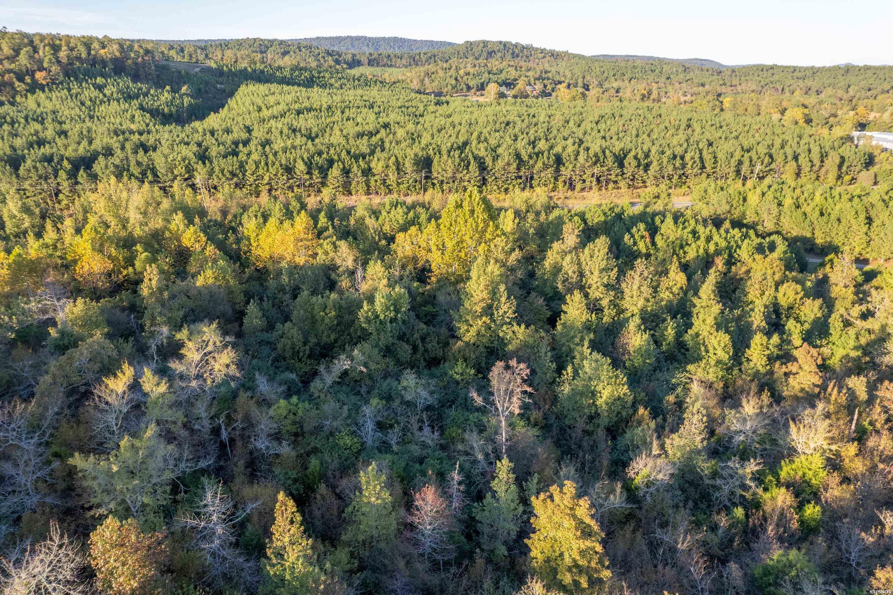 Tbd Albert Pike Property Photo 6